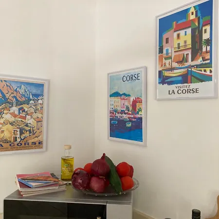 Ma Maison De Tatil Evi Zonza