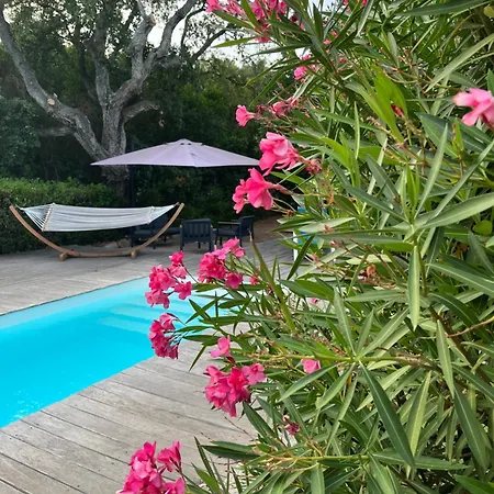 Ma Maison De Tatil Evi